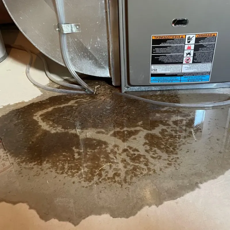 Pipe Burst and Leak Restoration in Oakton, VA